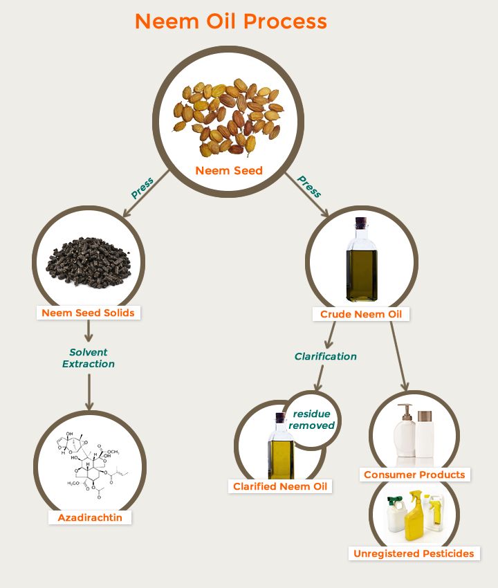 3 Pack Safer® Brand End ALL® With Neem Oil RTU 1 gal Saferbrand